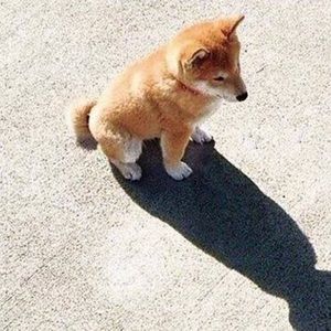 Meet your Posher, Karla